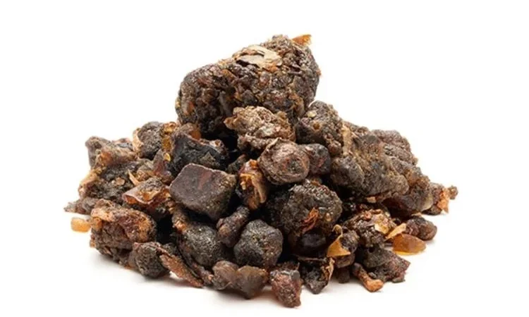 Unlocking the Health Benefits of Commiphora Mukul: A Deep Dive into Metaceptine Nutrients