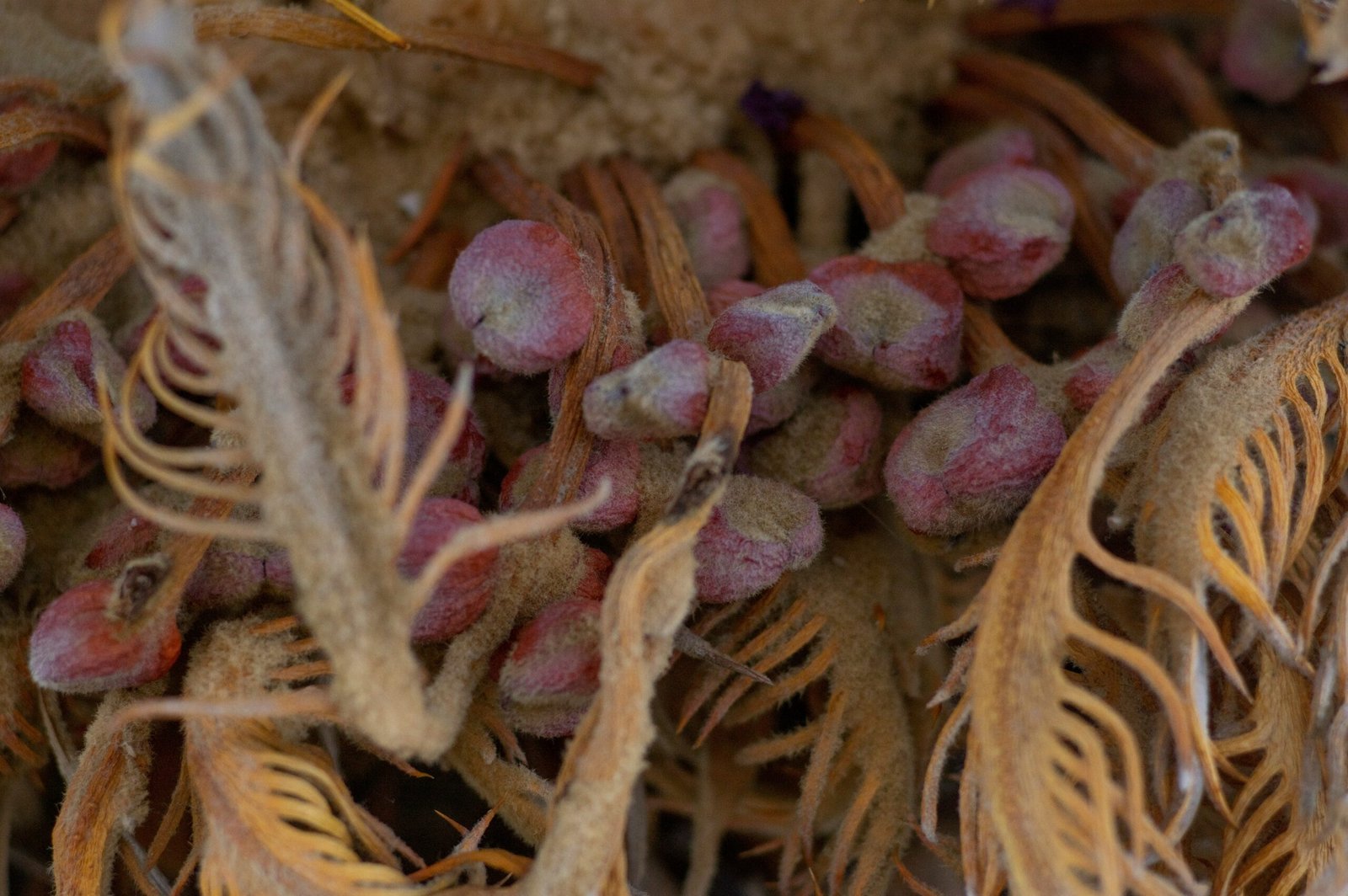 a basket of purple and yellow yarn