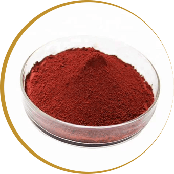 Unlocking Health: The Benefits of Iodine in Bio Protect Plus for Your Dog