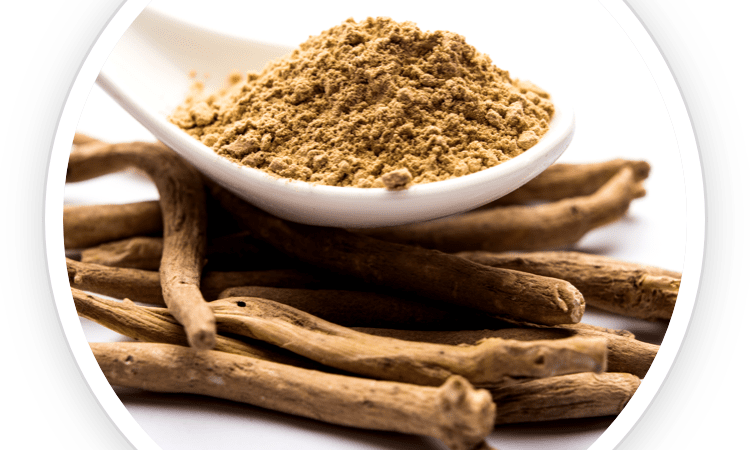 The Health Benefits of Ashwagandha in UltraK9 Pro for Your Dog