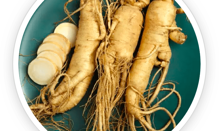 Unleashing the Health Benefits of Ginseng in UltraK9 Pro for Your Dog
