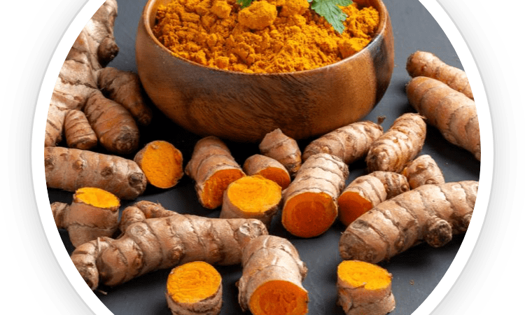 Unlocking the Power of Turmeric: Health Benefits for Your Dog with Ultrak9 Pro